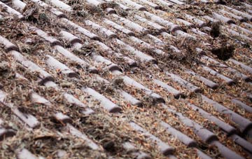 Torbryan roof cleaning companies